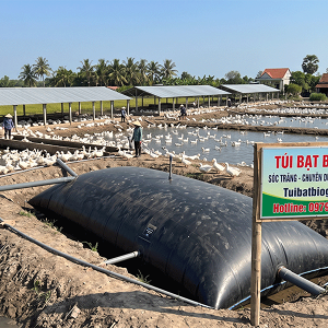 Cung Cấp Thi Công Túi Bạt Khí Hầm Biogas tại Bình Thuận